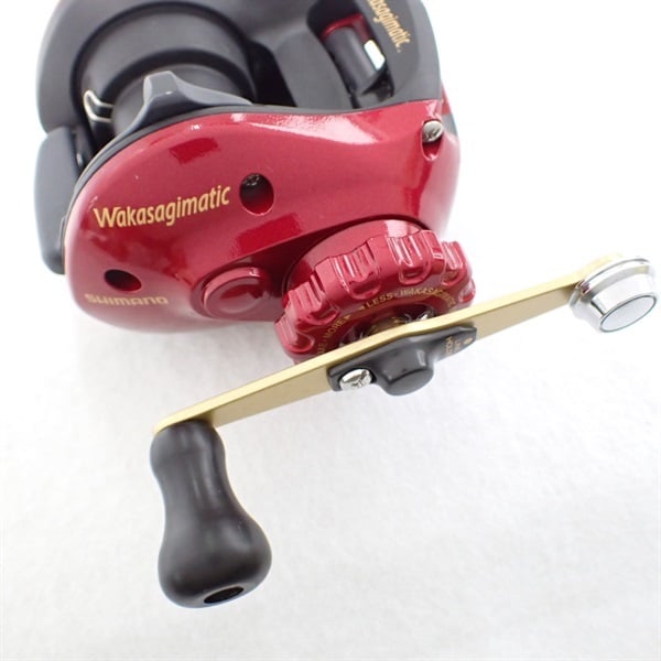 ０９ワカサギマチックＲ